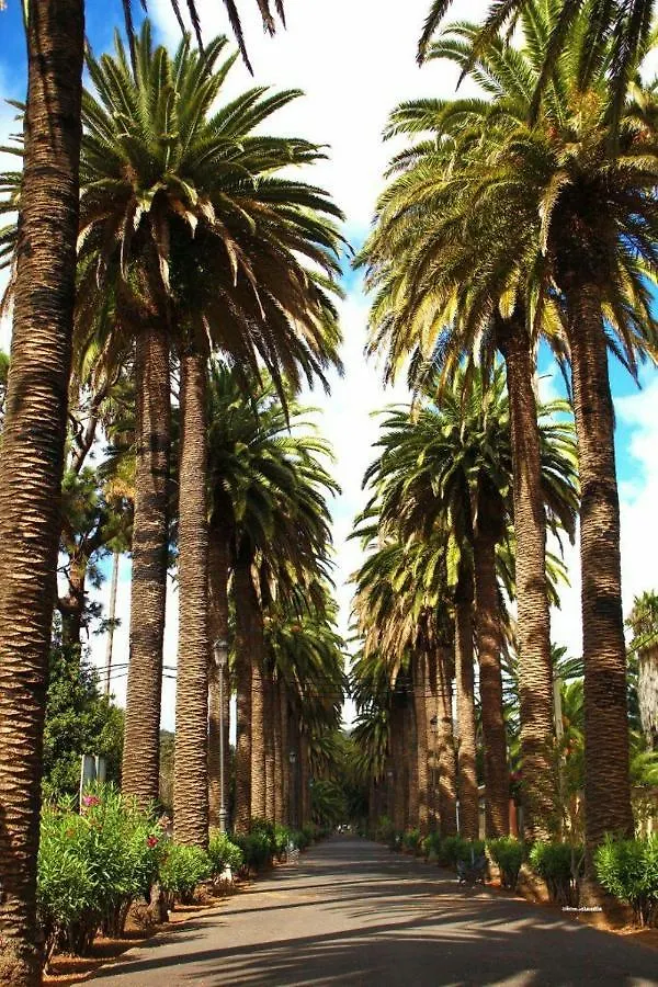 Estudio Los Molinos La Laguna  La Laguna (Tenerife)
