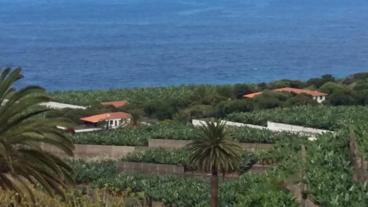 Estudio Los Molinos La Laguna